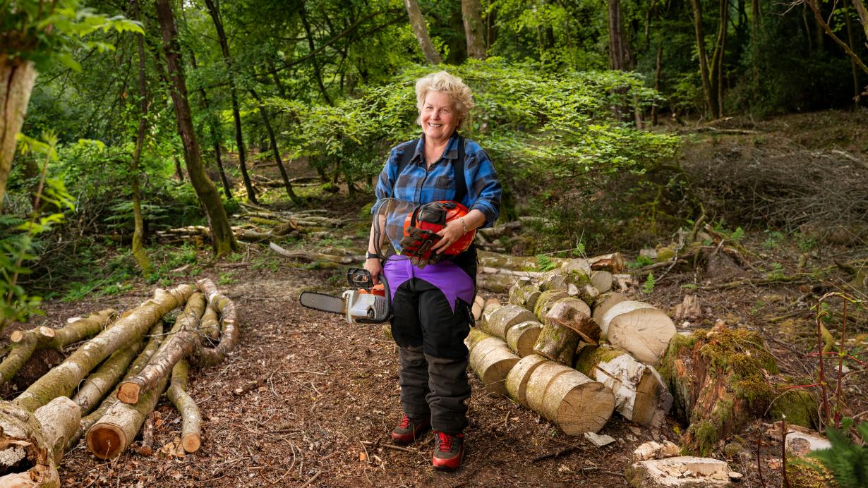 Snapshot of Hardwood Woodland Restoration